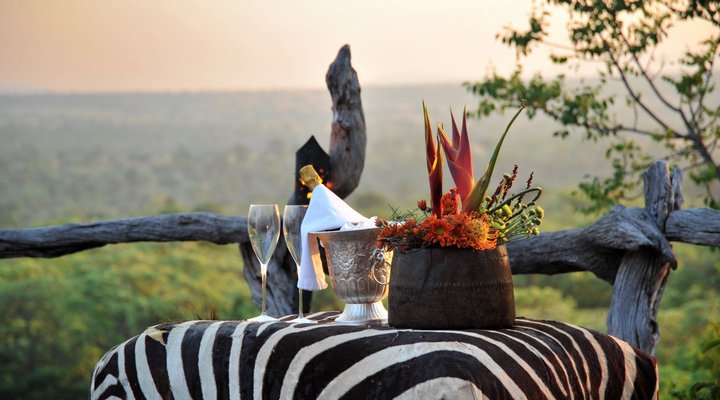 Wild and Free Game Lodge