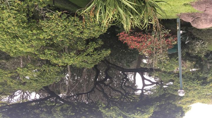 Grassroots Bed and Breakfast