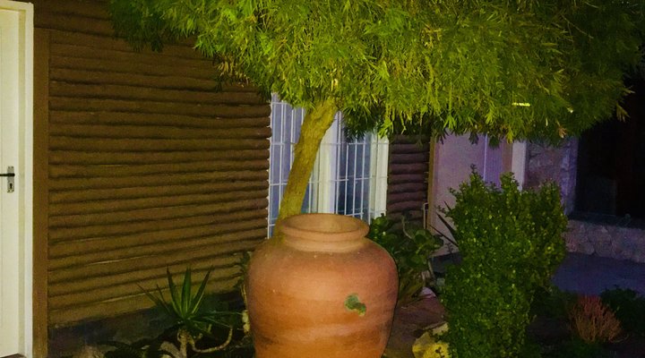 Meerkat Guesthouse