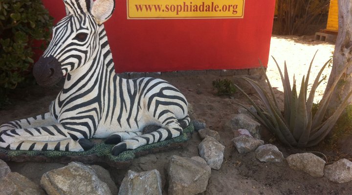 Sophia Dale Base Camp