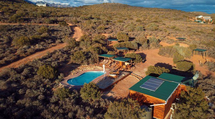 The Travelling Tortoise