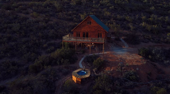 The Travelling Tortoise