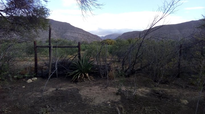 Eden Self Catering Cabins