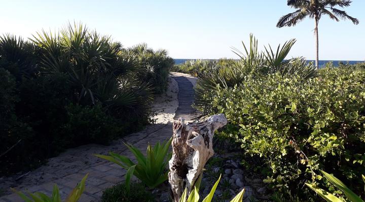 Feliz Mozambique @ Makolobay Barra