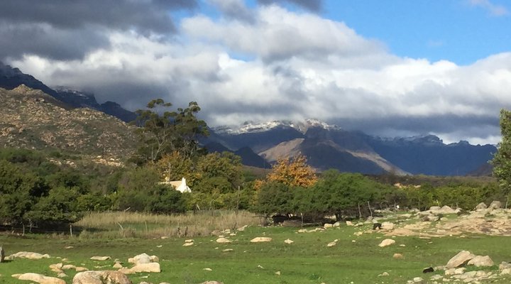 Bovlei Guest Farm