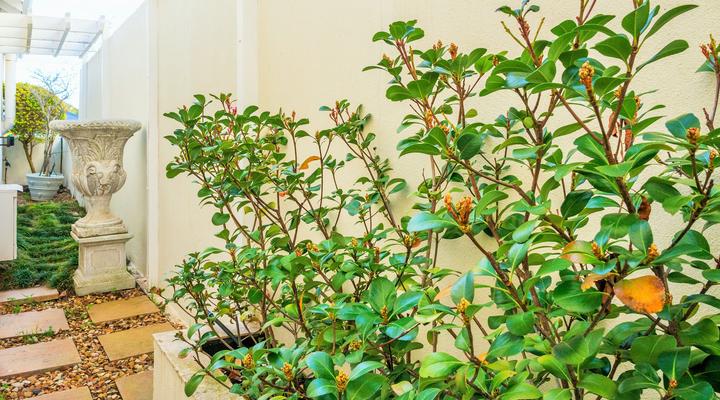 Uber Chic Heritage House