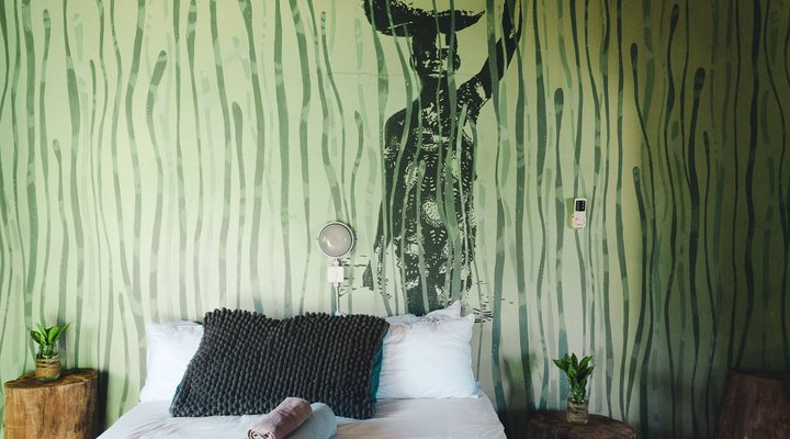 The Hatchery - beach and lagoon experience