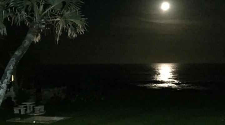 The Holiday Home on The Beach