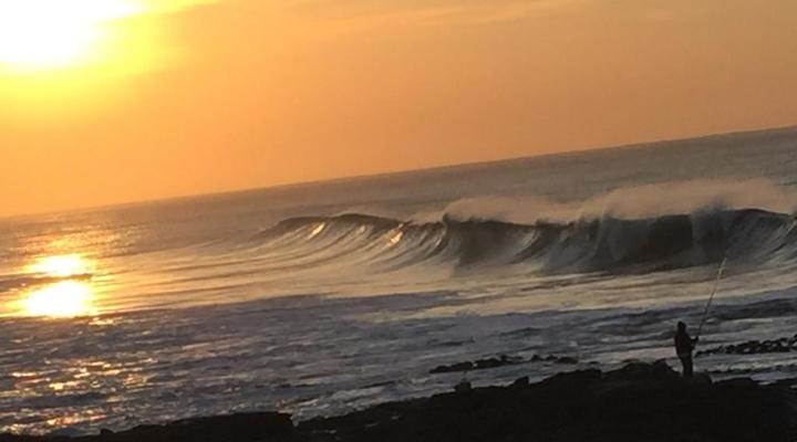 The Holiday Home on The Beach