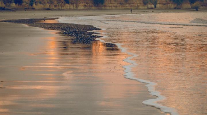 Nic's Tented Lodge - Mkoma Bay