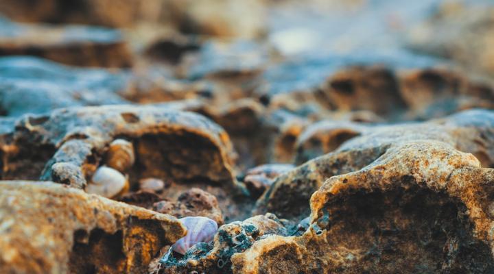 Nic's Tented Lodge - Mkoma Bay