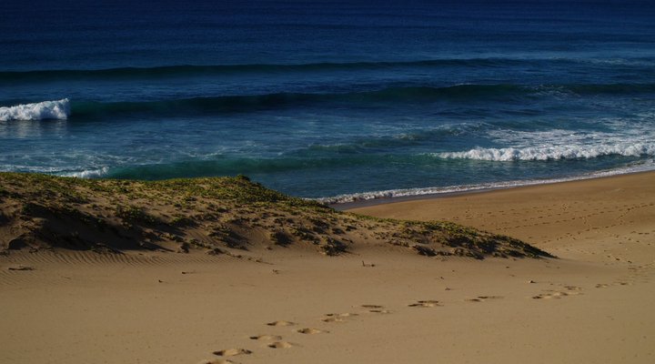 Gala Gala Eco Resort Private Campsites