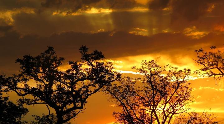 Dombeya Game Reserve, Shonalanga Lodge