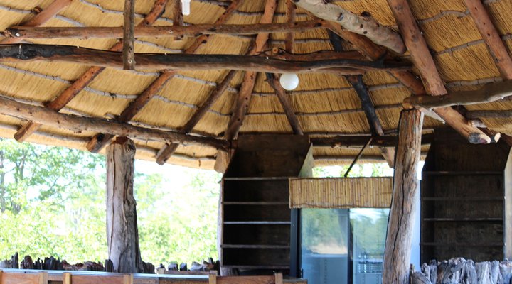 Dzibanana Lodge & Camping