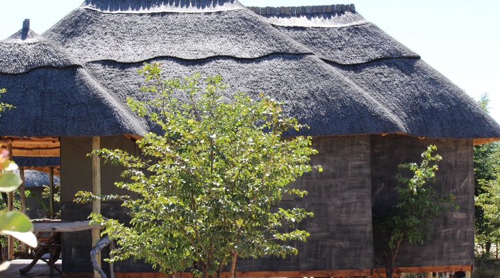 Dzibanana Lodge & Camping