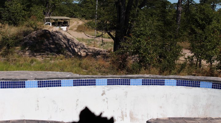 Dzibanana Lodge & Camping