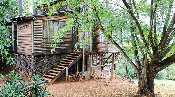 Treks, Trips & Trails