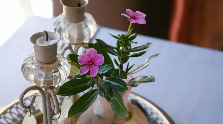 Kismet Country Cottage