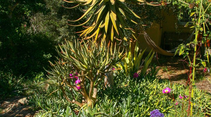 Kismet Country Cottage