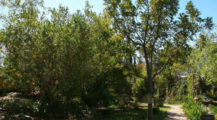 Kismet Country Cottage