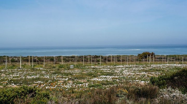 Voir la Mer - Ocean View