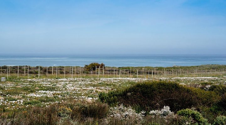 Voir la Mer - Ocean View