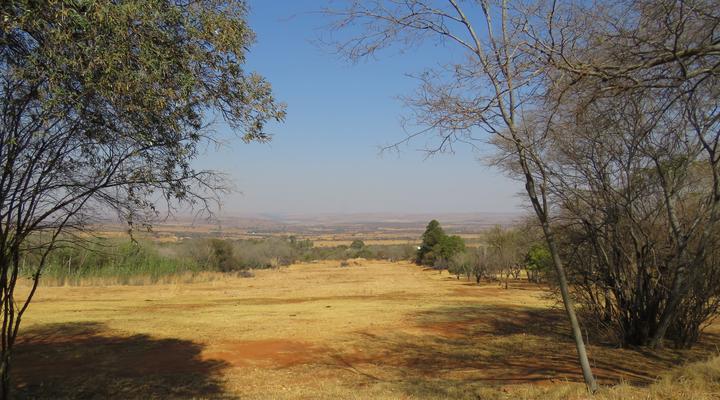Boschfontein Farm