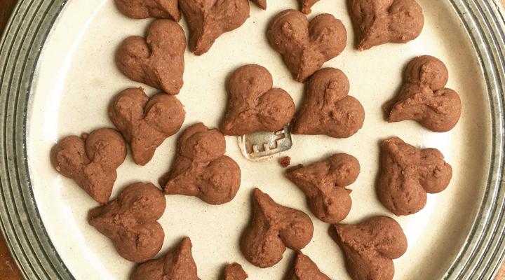 Africa Wild Truck Eco Camp And Lodge