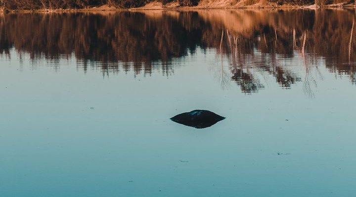 The Hatchery - beach and lagoon experience