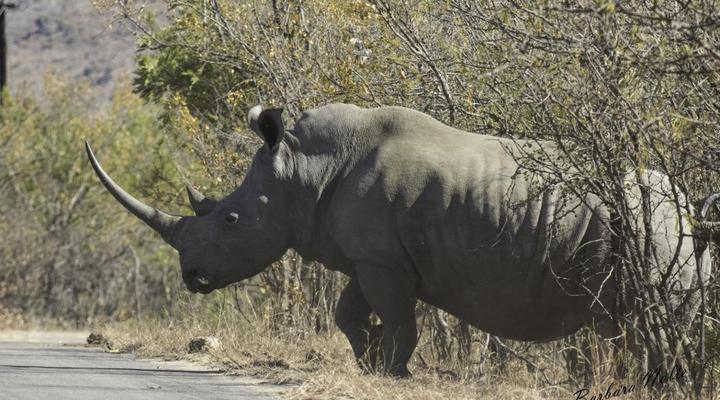 SANParks Malelane Rest Camp Kruger National Park