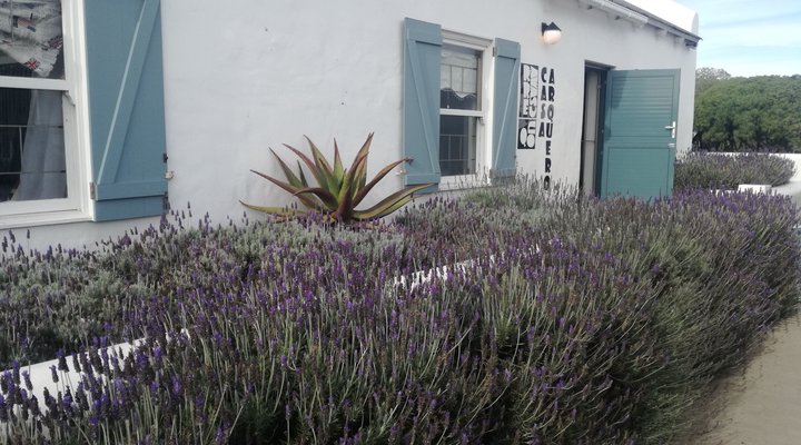 Casa Arquero
