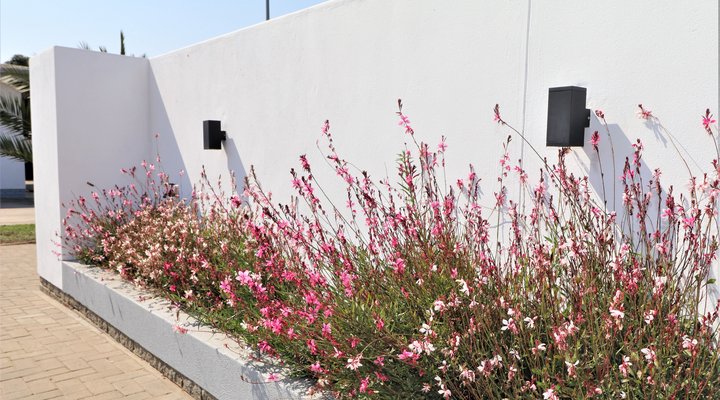 10de Laan Bed & Breakfast