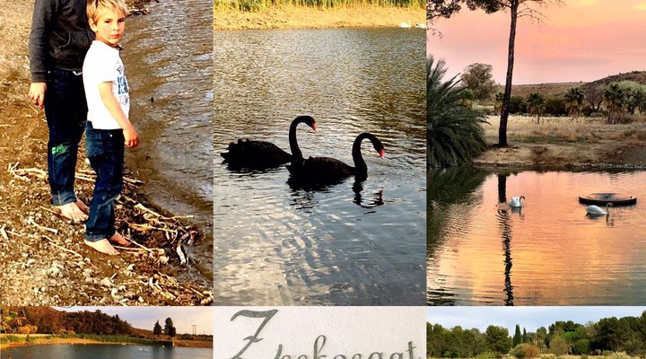 Zeekoegat Farmstay