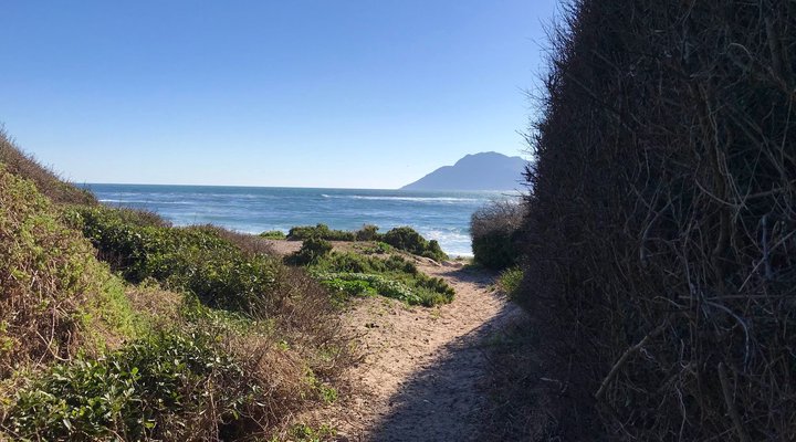 Seafoam in Kommetjie