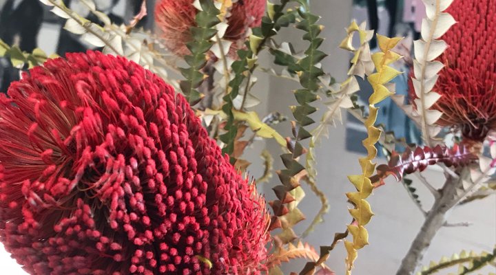 Seafoam in Kommetjie