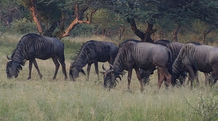 Mabalingwe Nature Reserve Self-catering House