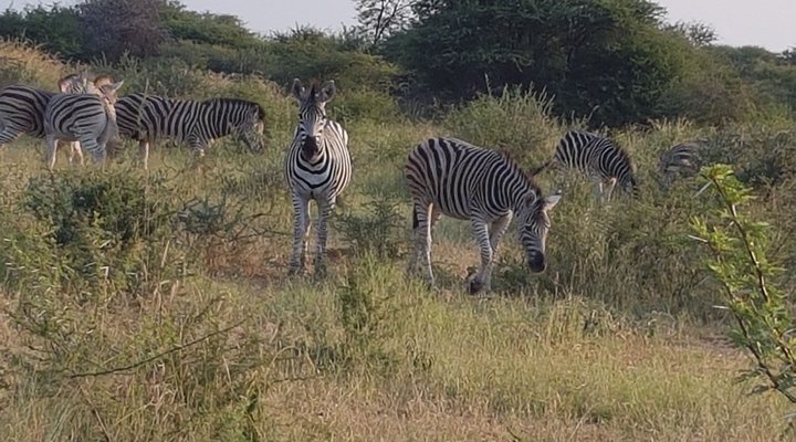 Mabalingwe Nature Reserve Self-catering House