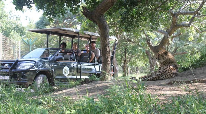 Hoedspruit Endangered Species 
