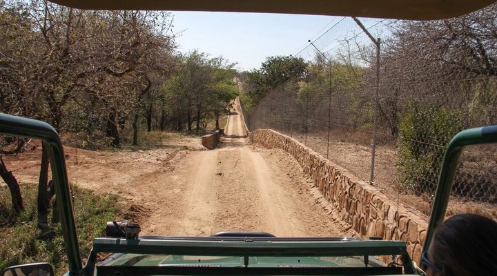 Hoedspruit Endangered Species 
