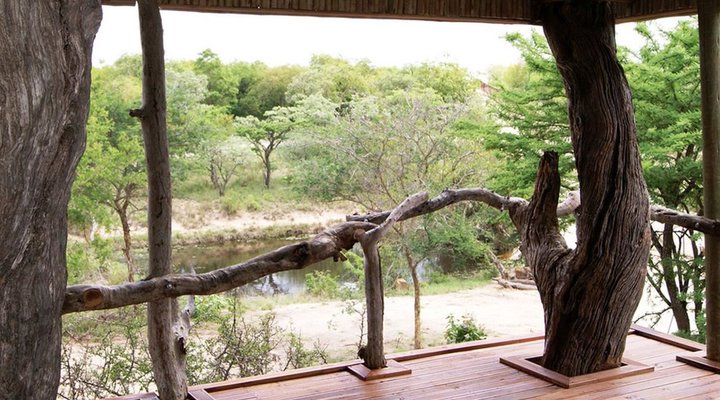 Hoedspruit Endangered Species 