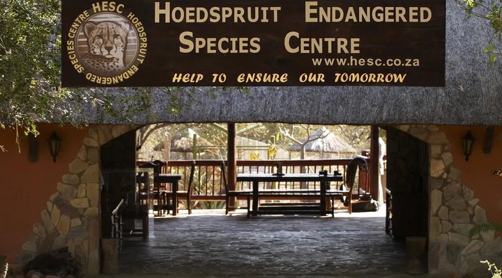 Hoedspruit Endangered Species 
