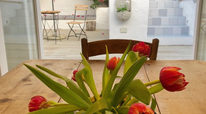 Kalk Bay Cottage