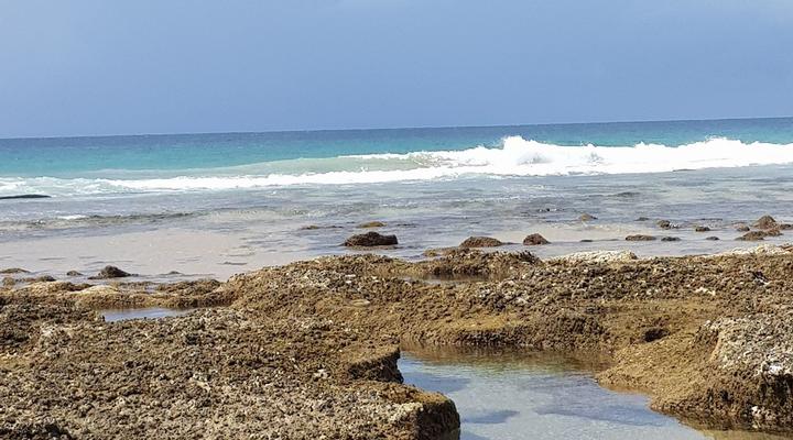 Nascer Do Sol - Beach House