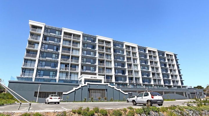 Key West - Driftwood