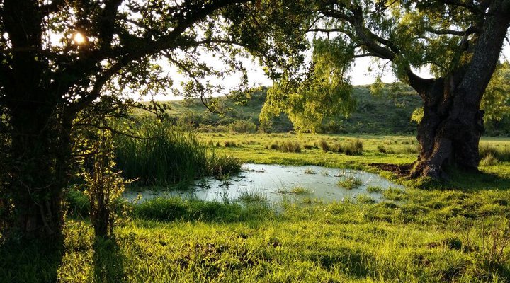 Hare's Rest