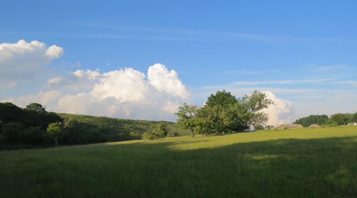 Hare's Rest