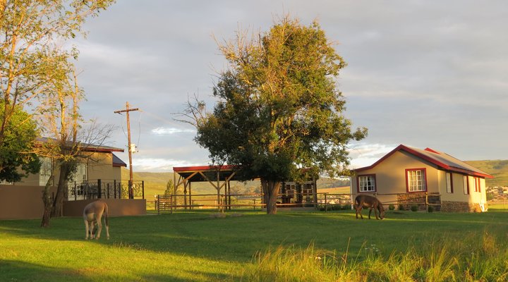 Hare's Rest