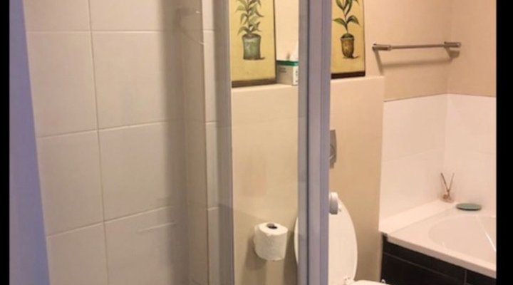 Key West - Driftwood