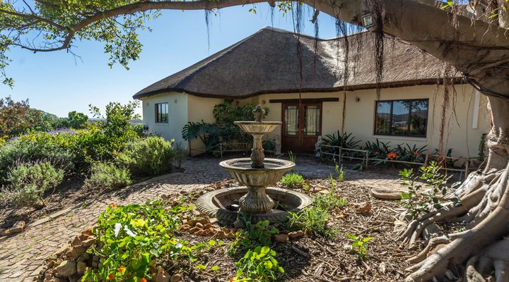 Blue Tangerine Guest House