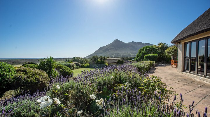 Blue Tangerine Guest House